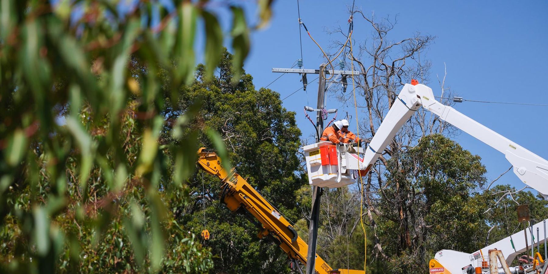 Western Power crew members working on a powerline